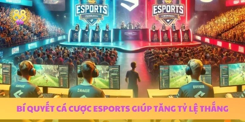 Bí Quyết Cá Cược Esports – Cẩm Nang Toàn Diện Cho Người Mới