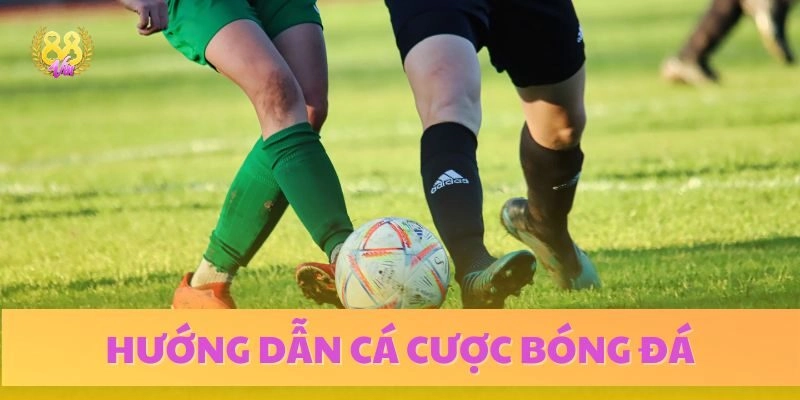 Các hướng dẫn cá cược bóng đá chi tiết cho người mới bắt đầu