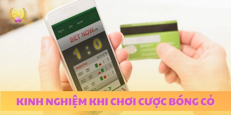 Bí quyết chơi cược bóng đá luôn thắng, xanh chín